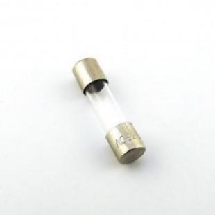 Fast Blow Glass Fuse 5mm x 20mm 250V 5A
