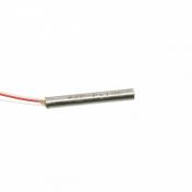 Sensor Temperatura Platino – PT100
